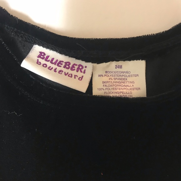 Blueberi Boulevard Girls Dress 24M - Picture 2 of 3